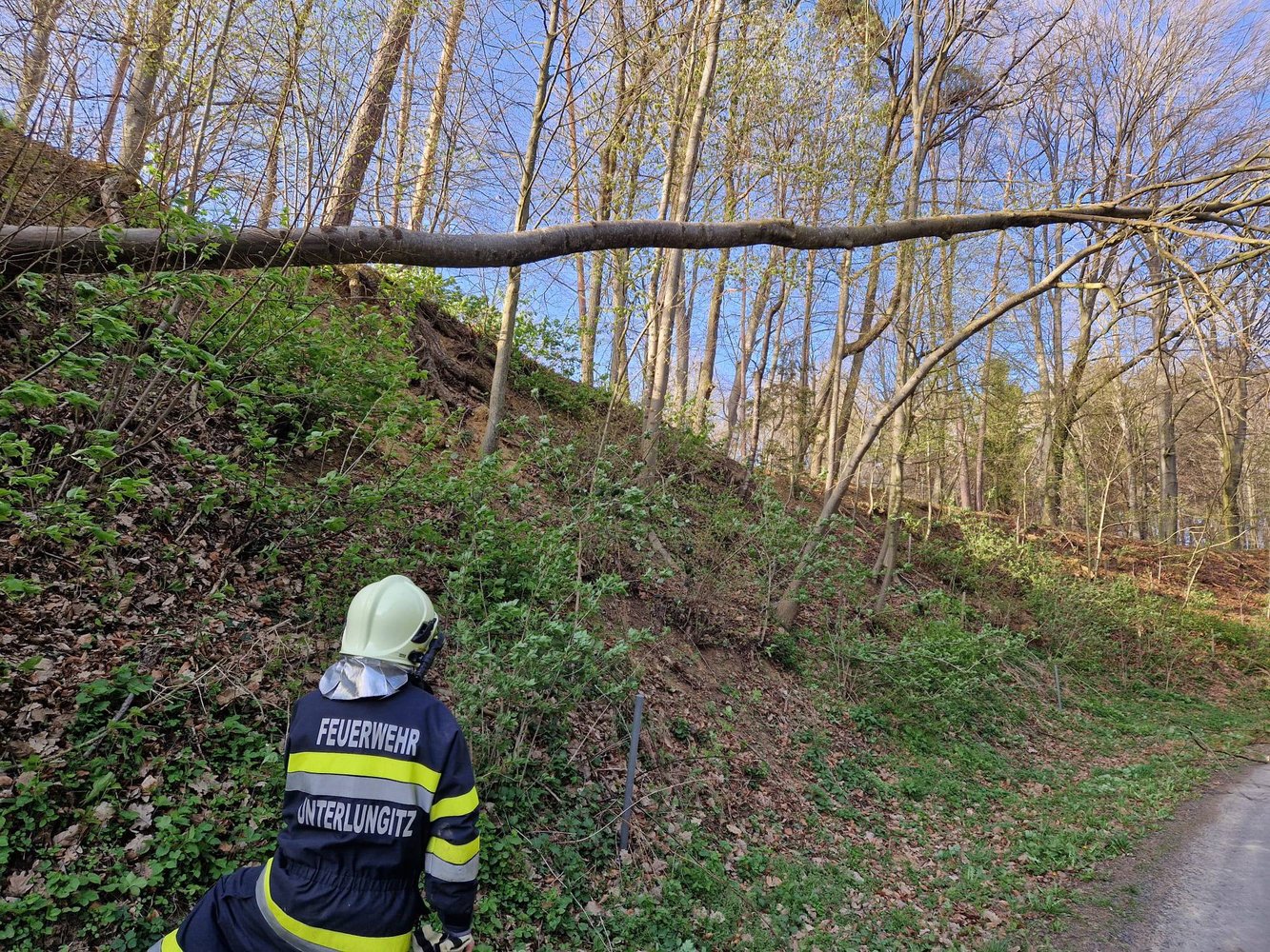 🚒🌳🪓 Wir sind immer zur Stelle, wenn Bäume unsere Straßen blockieren 🚒🌳🪓