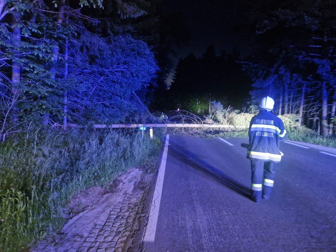 Neuigkeitsbild